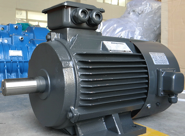 西安西瑪感應(yīng)式電機(jī)逆時(shí)針輸入工作負(fù)荷采集。